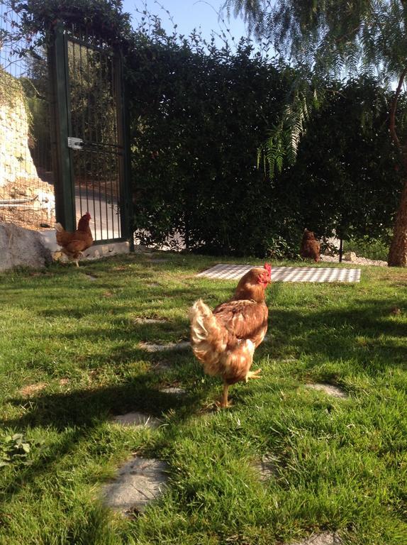 Agriturismo da Luì Bordighera Exterior foto