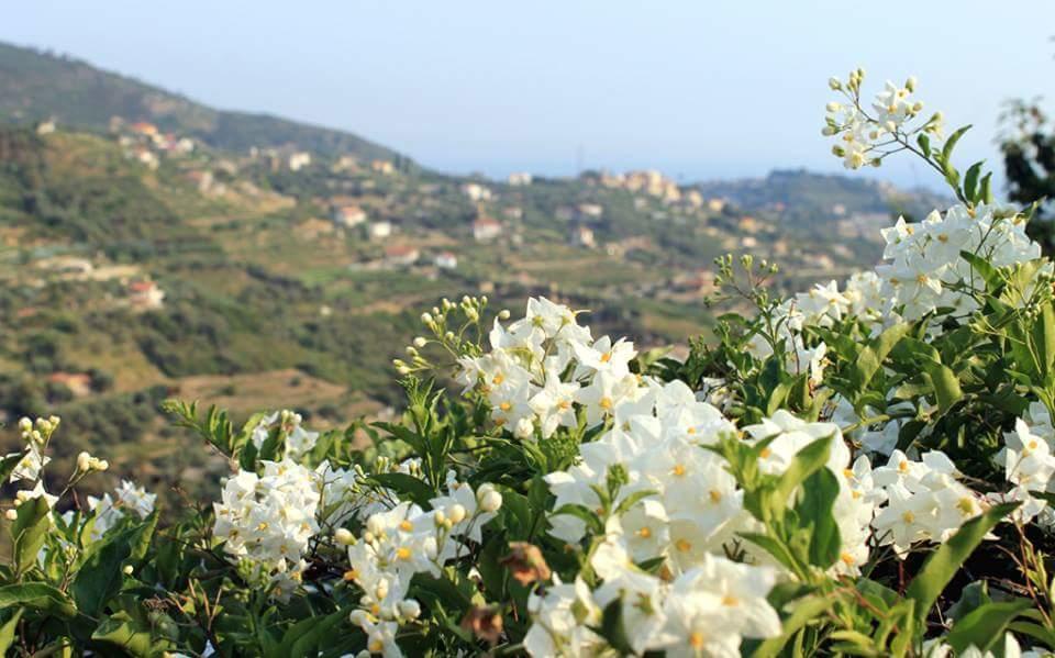 Agriturismo da Luì Bordighera Exterior foto